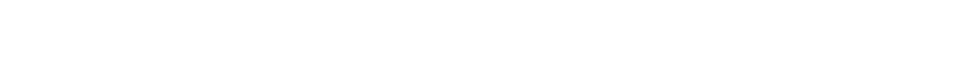 Spedition Schurz Logo